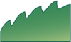 Leaf morphology serrate.png