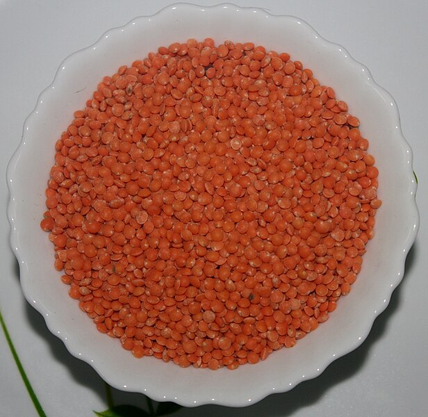 File:Lentil ( মুসুর ডাল) ০২.JPG