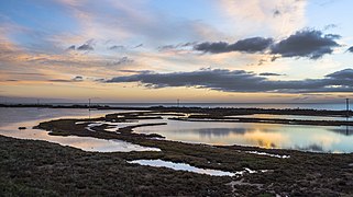 Zones humides sur le littoral - Les Aresquiers, Frontignan. Janvier 2018.