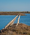 Lido de Thau, Sète, Hérault 12.jpg