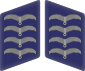 Lengüetas de cuello de la Luftwaffe Stabsgefreiter 3D.svg