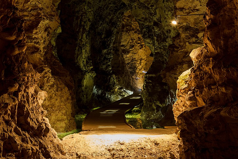 File:Mønsted Kalkgruber Illuminated path with two lightghosts 2014-07-17.jpg