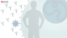 Datei:MRNA-Impfstoffe gegen das Coronavirus.webm