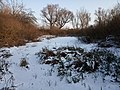 The small pond of Linyik in the countryside surrounding the village (January 2021)