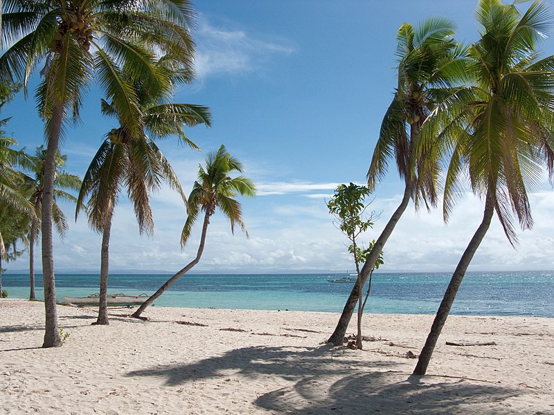 File:Malapascua (island), Bounty Beach, Philippines.jpg