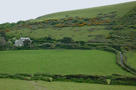 Manor and country road lined with hedges in Cornwall