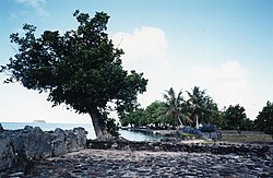 Fransk Polynesia: Navn, Naturgeografi, Befolkning