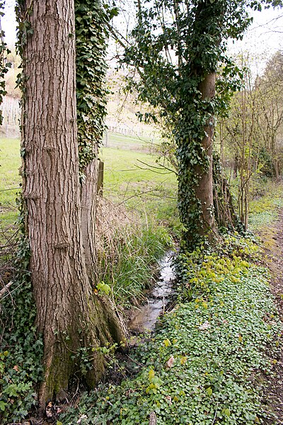 File:Marbächlein in Hirschberg an der Bergstraße 02.jpg