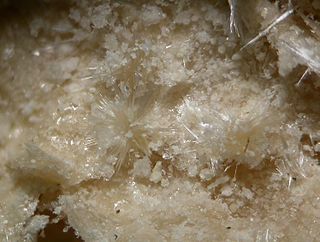 <span class="mw-page-title-main">Mascagnite</span> Rare ammonium sulfate mineral