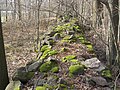 Steinwall, 17. Jahrhundert, Trennung Feld und Wald