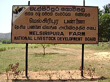 Trilingual sign in Sri Lanka MelsripuraFarm.JPG