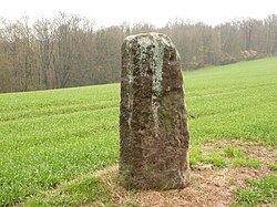 Der Menhir von Mittelbrunn