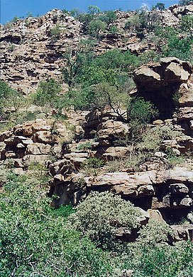 Moremi gorge 2.jpg