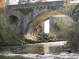 Moumour vert-pont.JPG