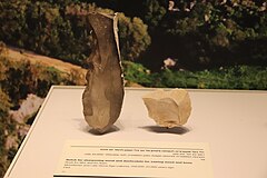 Mousterian Culture and Late Stone Age Stone Tools. Notch for sharpening wood, and denticulate for sawing wood and bone. Rosh En Mor and En Aqev. 250,000-22,000 BP. Israel