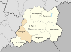 Municipality of Bujanovac in District Pcinja bg.svg