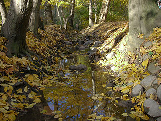 The Northern Rietzschke at Arthur-Bretschneider-Park