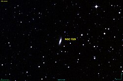 NGC 1529 DSS.jpg