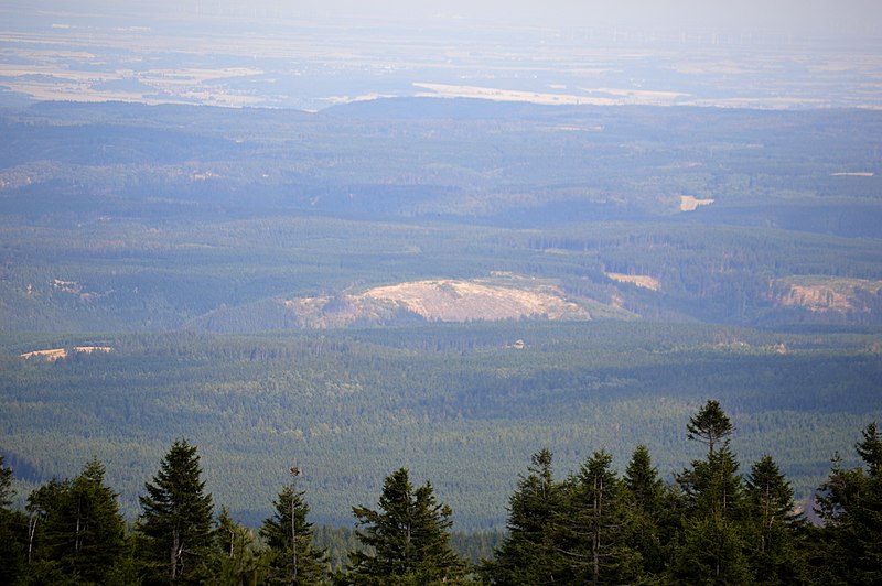 File:NP Harz - Blick vom Brocken nach Nordosten (4).jpg