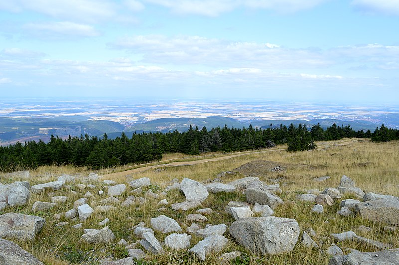File:NP Harz - Brocken-Plateau (11).jpg