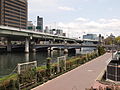 難波橋（大阪市中央区、堂島川）