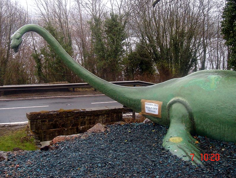 صورة:Nessie1.JPG