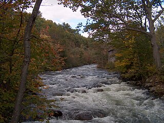 Newfound River (New Hampshire) river in the United States of America