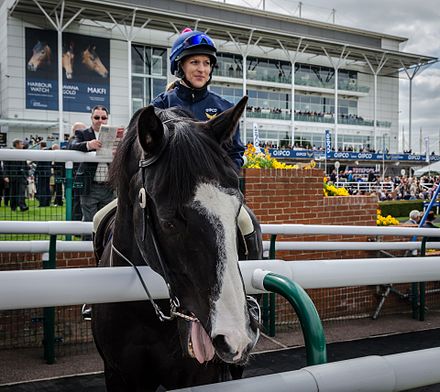 Newmarket Racecourse (14137378411)