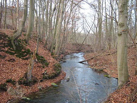 Nonne bei Neuhof 16 XII 2007 030