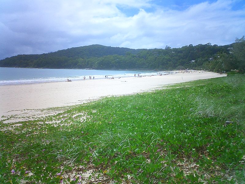 File:Noosa beach-raffi kojian-CIMG6544.JPG