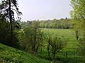 North from the Chedworth Woods footpath - geograph.org.uk - 447720.jpg