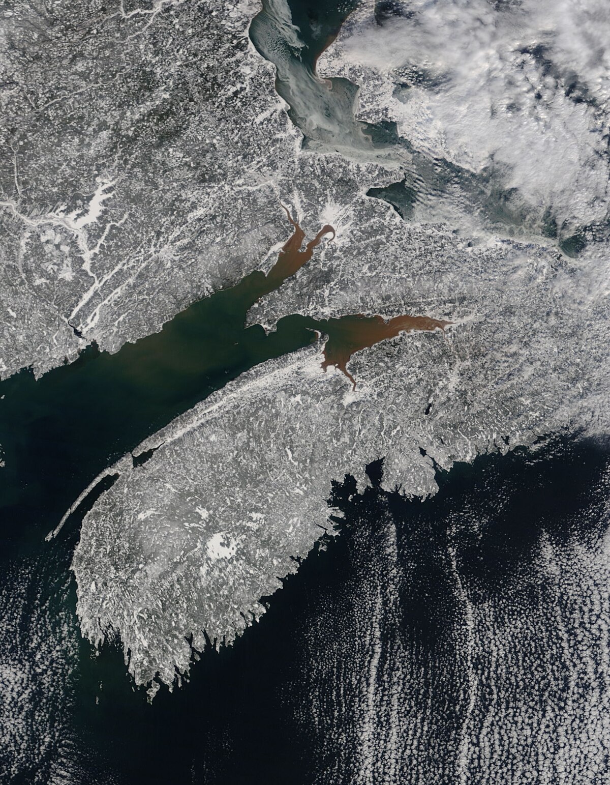 File:Bay of Fundy low tide.jpg - Wikimedia Commons