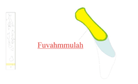 Fuvammulah