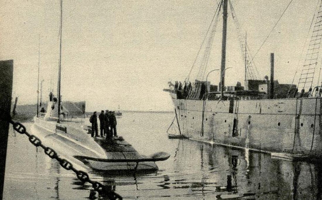 ORP Żbik (1931)