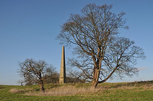 Obelisk in the Welcombe Hills Country Park - geograph.org.uk - 2308271