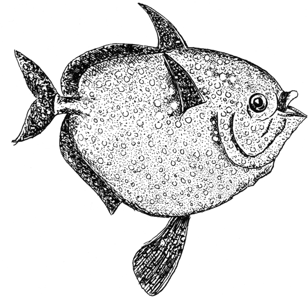 File:Opah (PSF).png