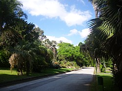 Jardim Botânico de Nápoles 216.JPG