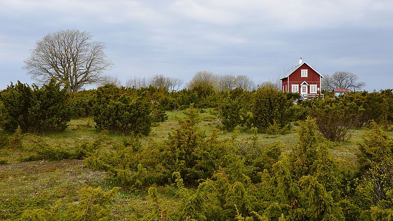 File:Osmussaare edelanurk.JPG