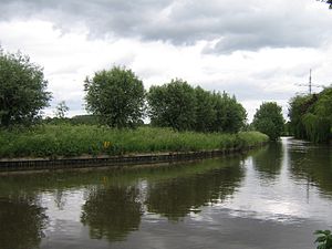 Oude Rijn (Gelderland)