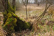 Čeština: Přírodní památka V Boukalovém, okres Olomouc