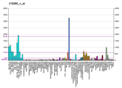 PBB GE HIST2H2AC 218280 x при fs.png