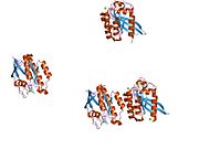 PDB 1z08 EBI.jpg