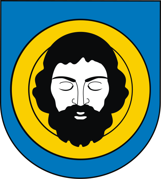 File:POL Brzozów COA.svg