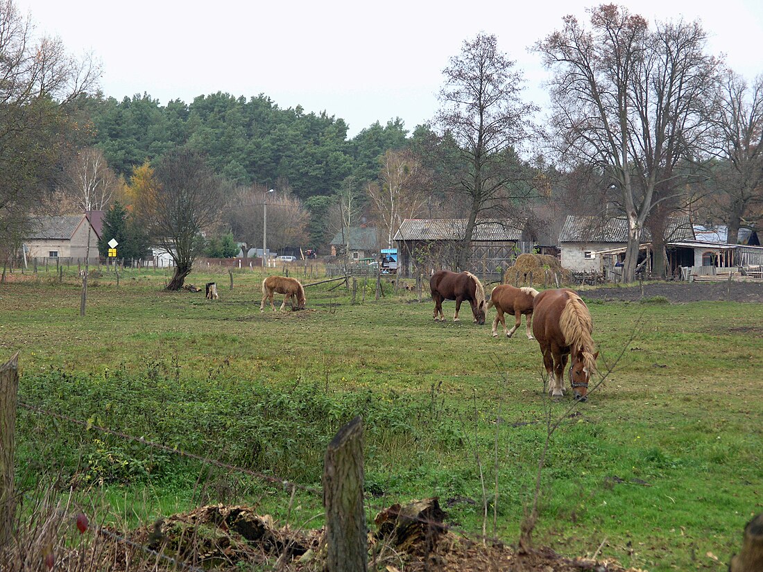 Famułki Królewskie