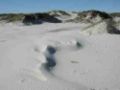 Spiaggia nazionale dell'isola di Padre - dune di sabbia2.jpg