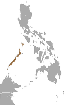 Miniatura per Tupaia de Palawan