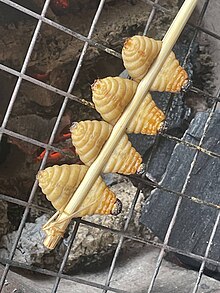 Toasted grubs of the Asian palm weevil in Laos Palmgrub2023.jpg