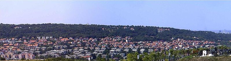 File:Panorama Ćalija.jpg