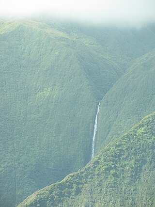 <span class="mw-page-title-main">Papalaua Falls</span> Waterfall in Hawaii