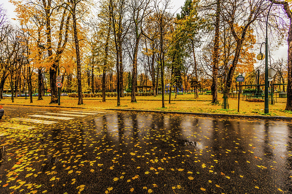 1024px-Paris_raining_autumn_cityscape_%288252181936%29.jpg